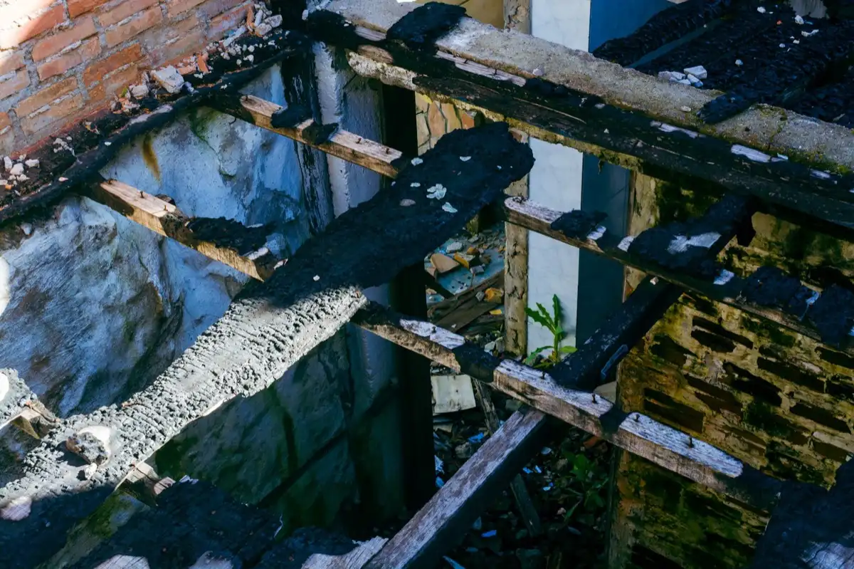Roof Leak Repair in Shreveport, LA